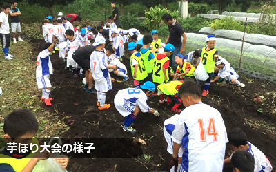 小坂井FC 芋ほり大会の様子